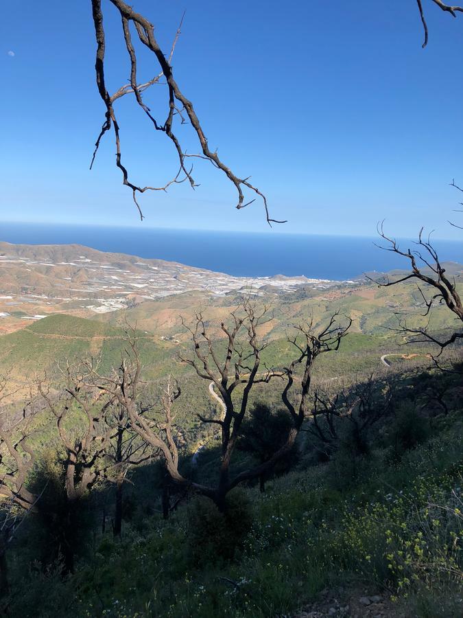 منزل الضيف Lujar  في Cortijo Sancardo المظهر الخارجي الصورة